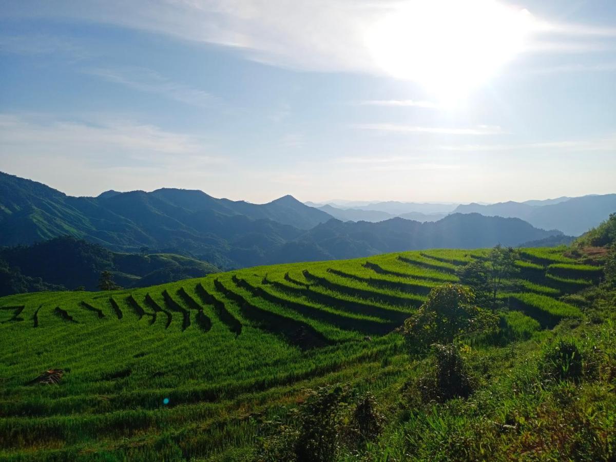 Gio Lao Eco Lodge - Dao Che Thanh Chuong Trai Do Eksteriør billede